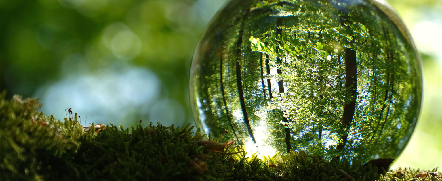 SUSTAINABILITY